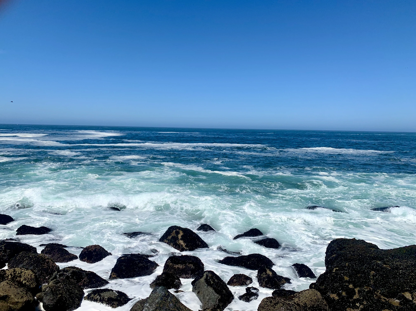 <p>Morro Rock……旁边的海景</p>
