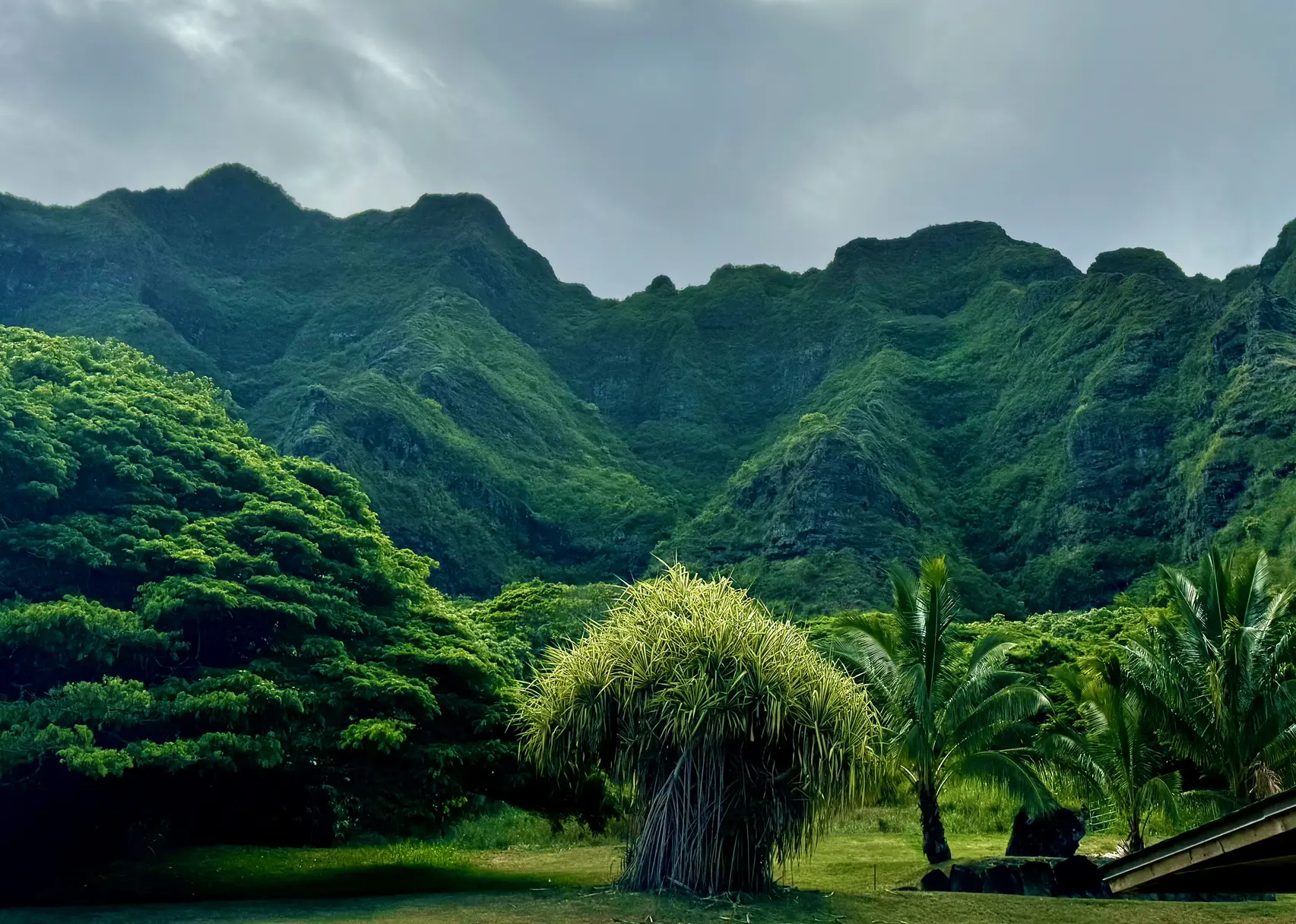 <p>Kualoa Ranch</p>
