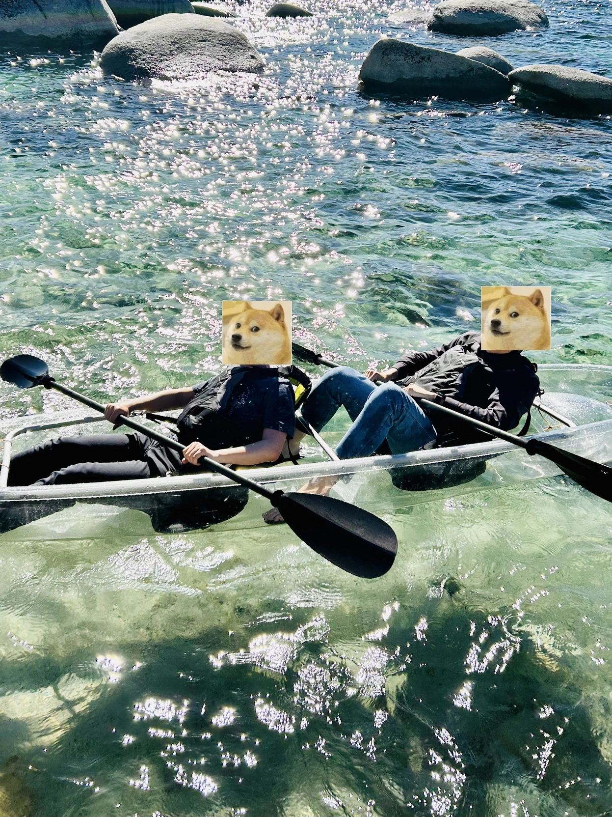 <p>透明 Kayak</p>